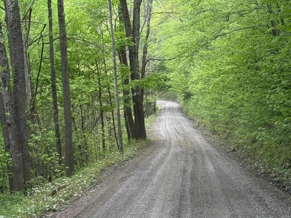 Osborne Road photo 3