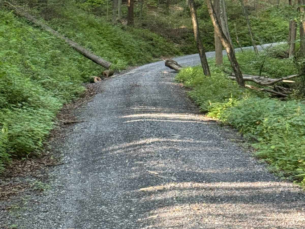 Fisher Mine Road photo 6