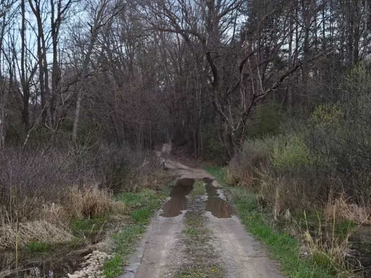 Hart Trail photo 4
