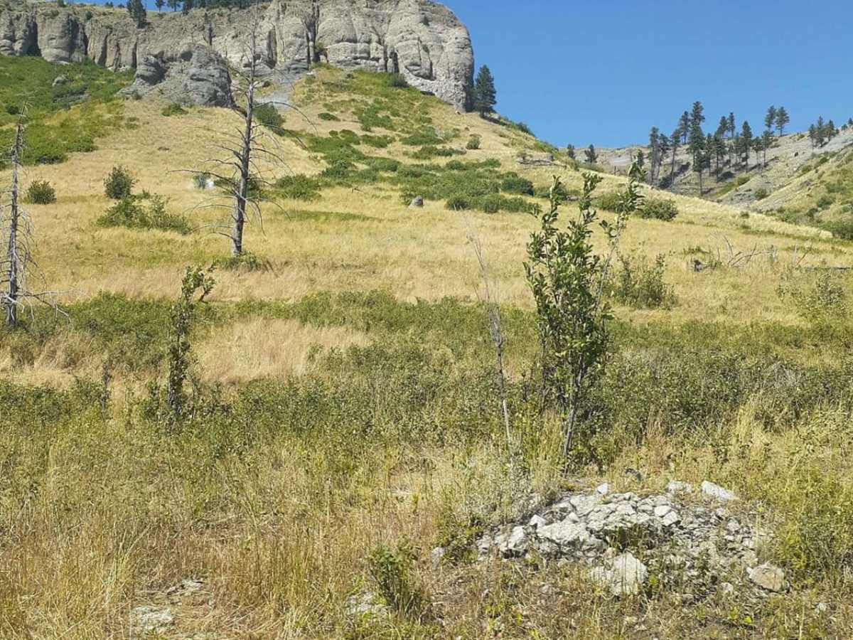 Bridger Creek Cruise photo 3