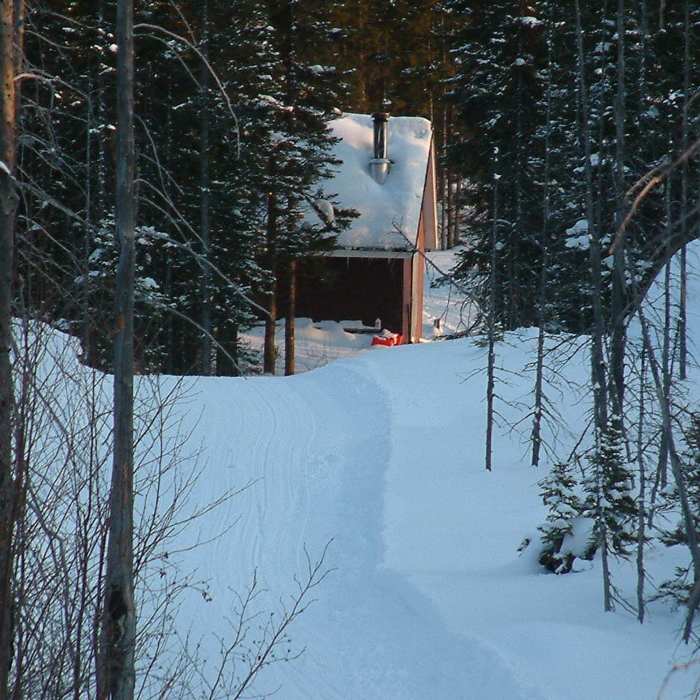 Near McLean Lake Trail