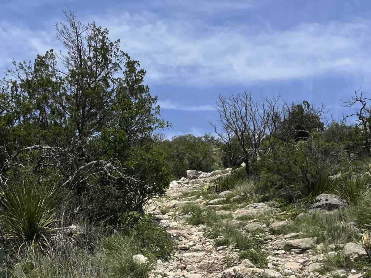Lookout Trail - V29 photo 3