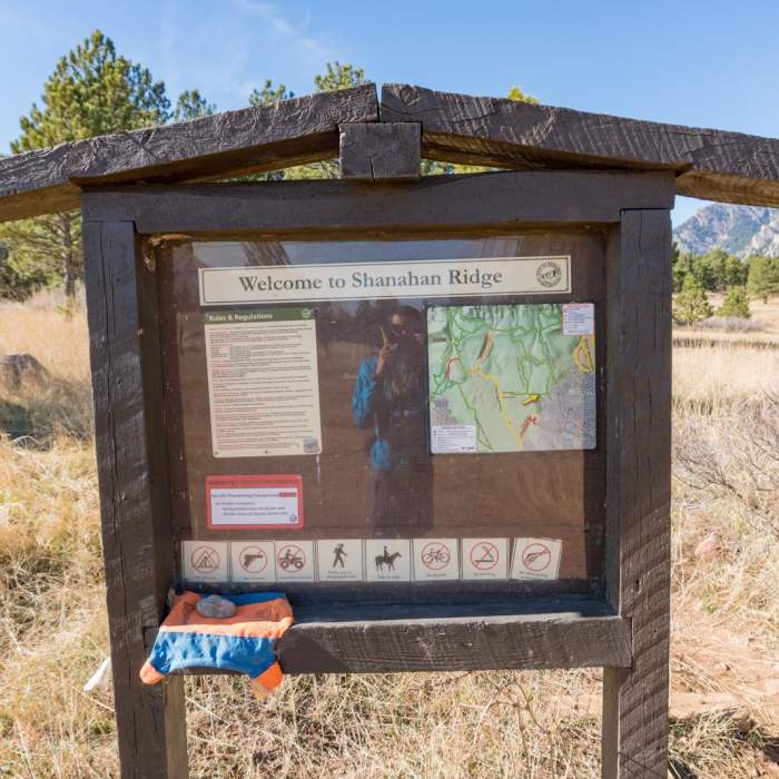 Near Shanahan Forks Loop