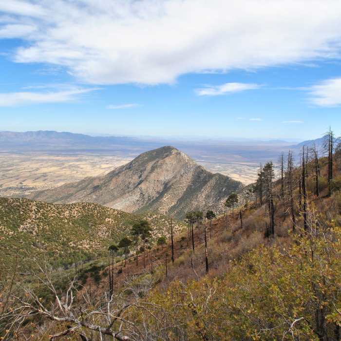 Near Miller Peak via Crest Trail #103