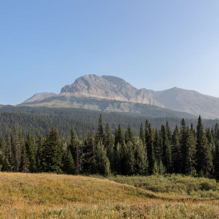 Near Pitamakan Pass Trail
