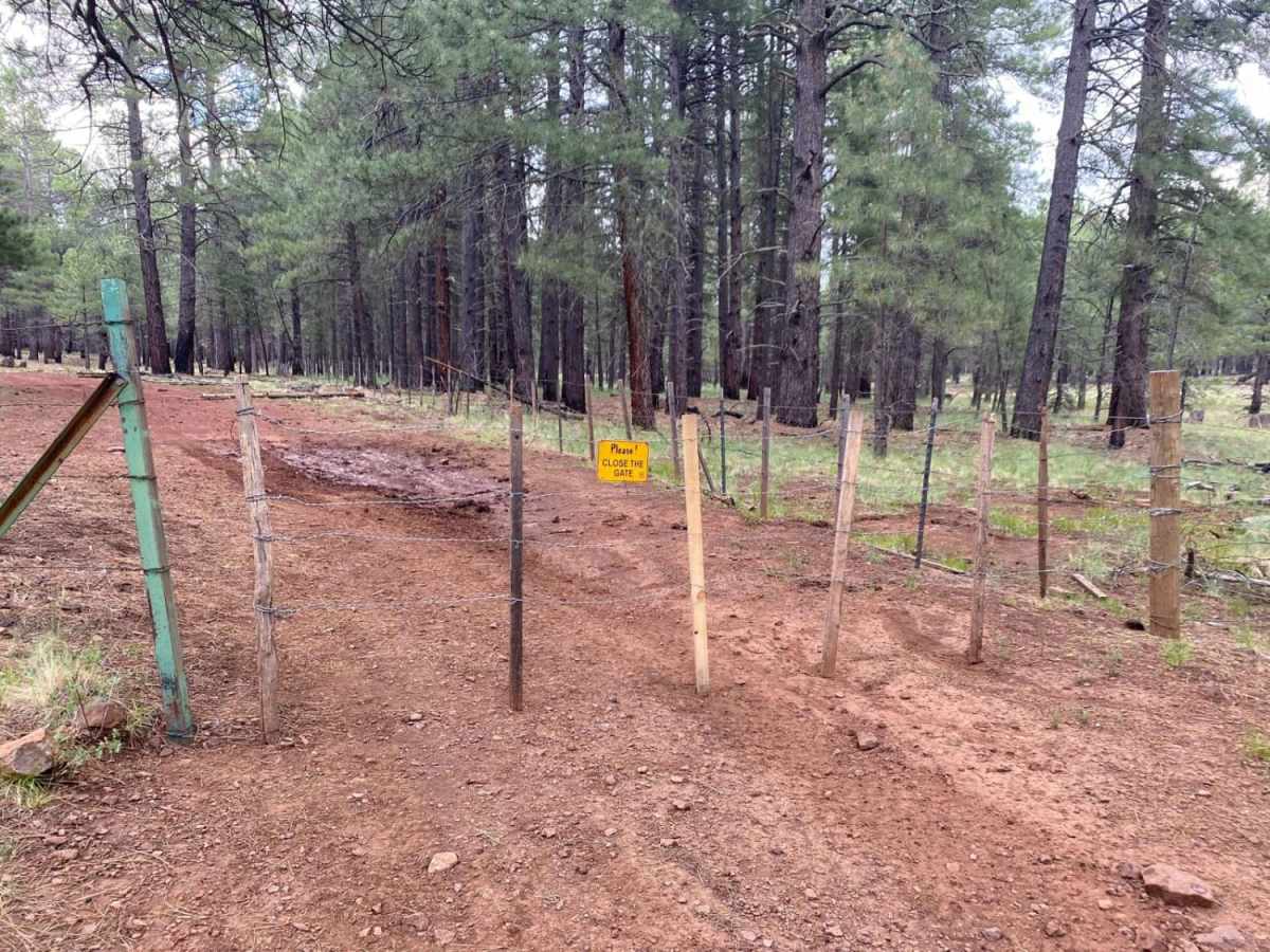 Red Clay Way photo 5