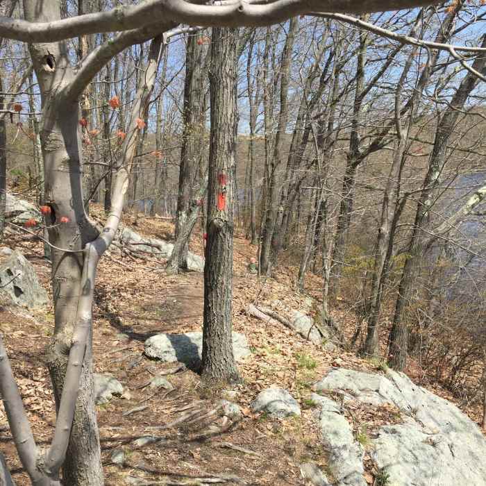 Red Trail - lake view Near Butler Reservoir Loop