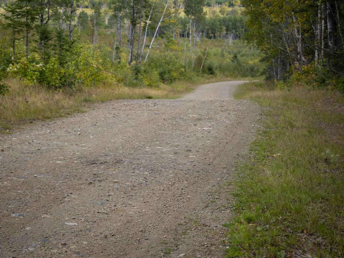 Whitebirch Road - Trail 507 photo 4
