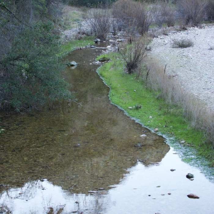 Near Bench Trail