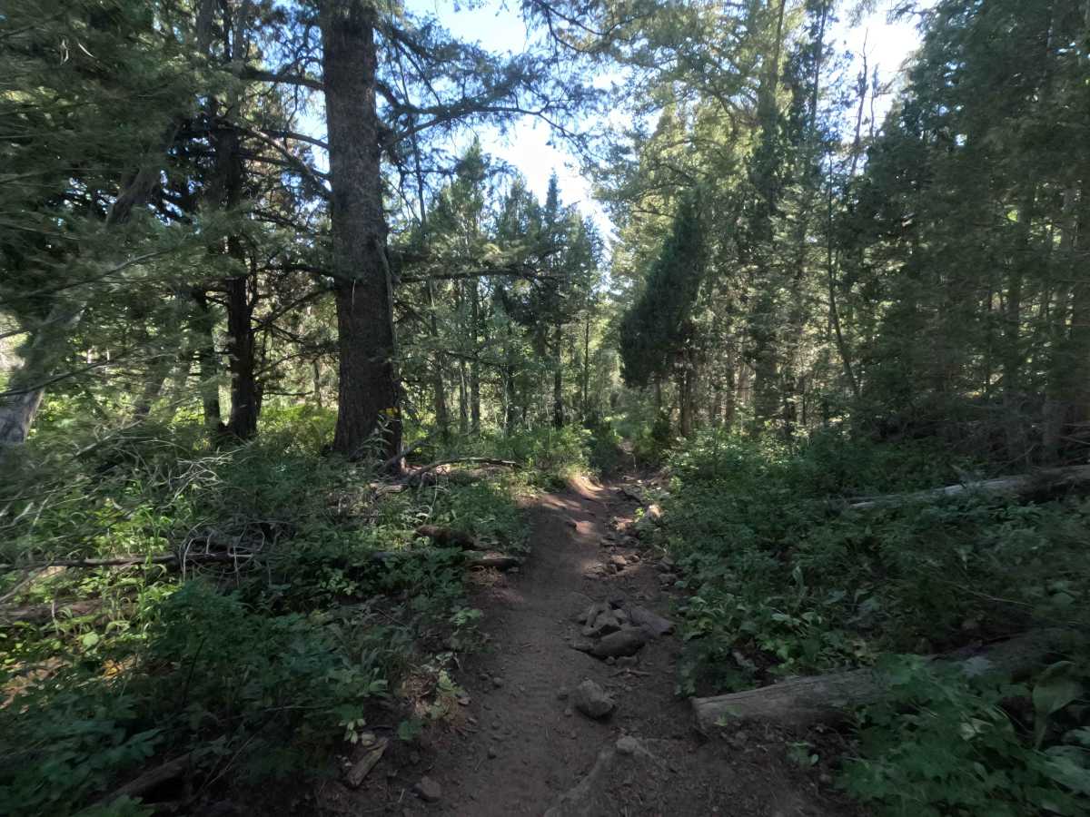 Davis Canyon photo 6
