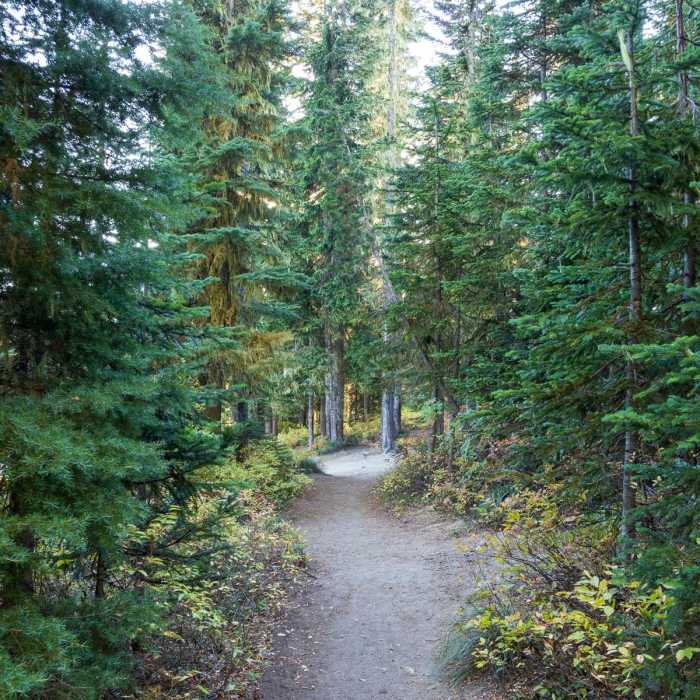 Near Takhlakh Lake Loop