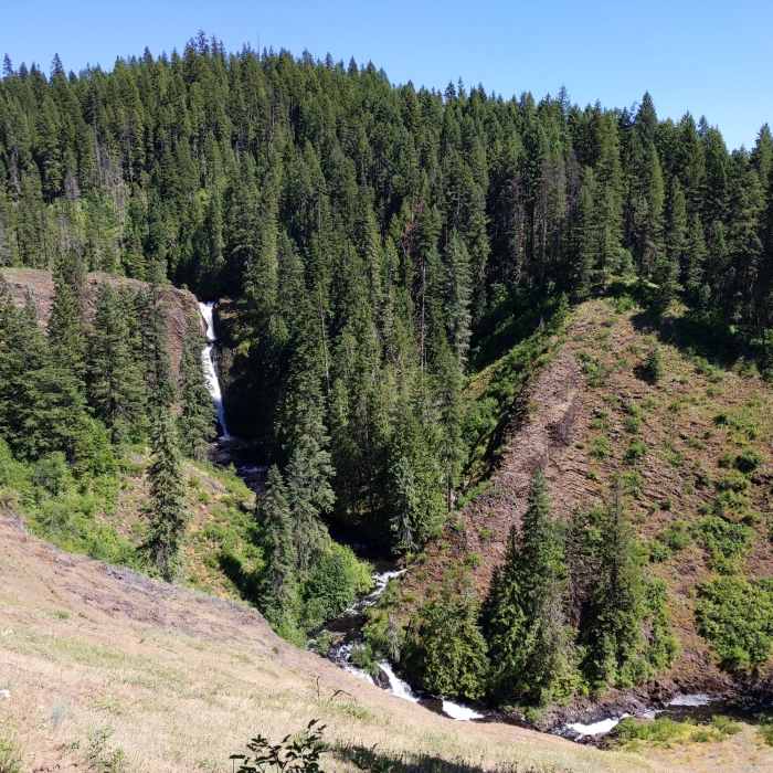 Near Elk Creek Falls