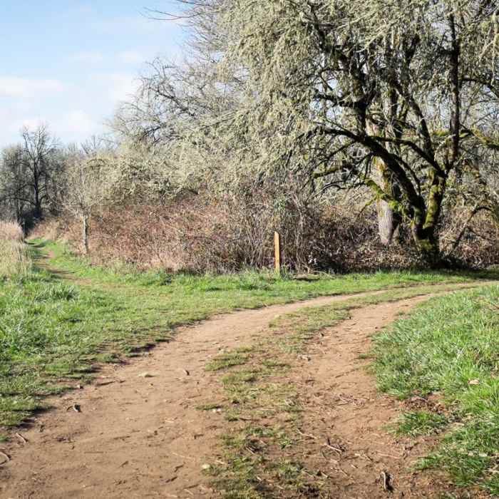 Near Wapato Access Greenway Trail + Virginia Lake