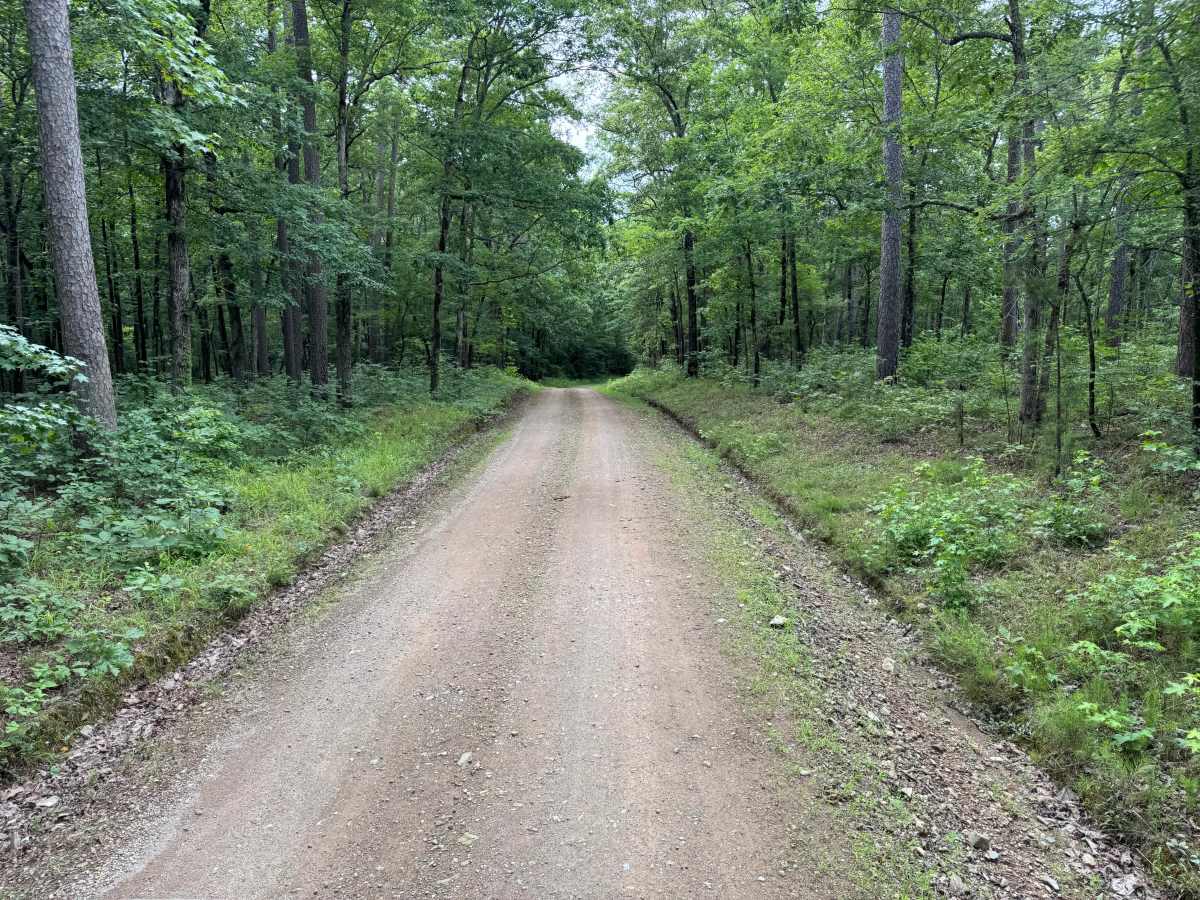 River Bluff Road trail photo