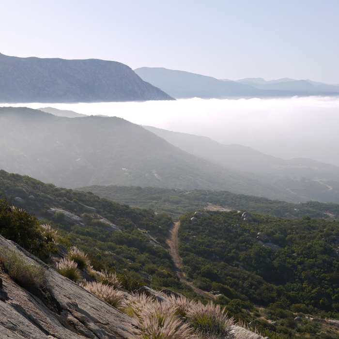 Early morning fog enshrouds the El Cajon Mountain Trail. Near El Cajon Mountain Summit Trail