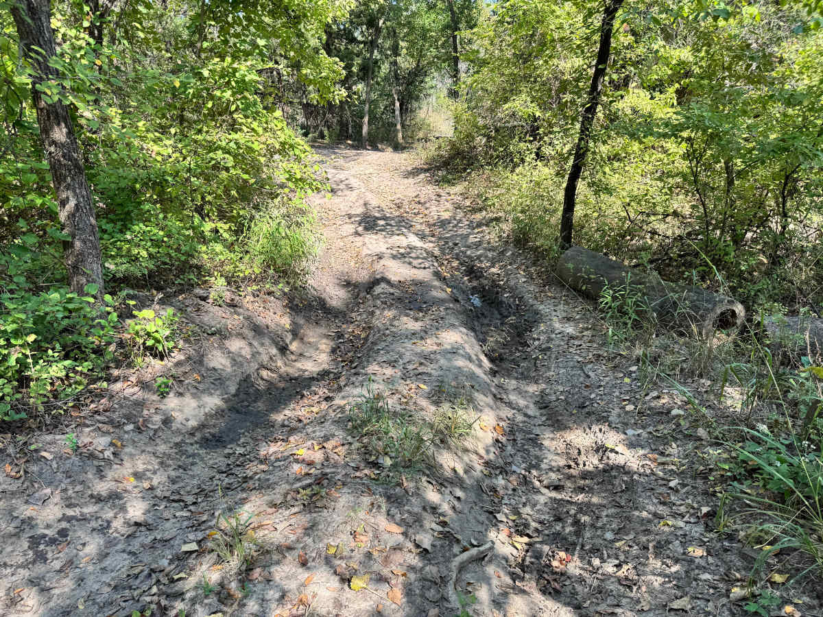 Ranger Danger photo 2