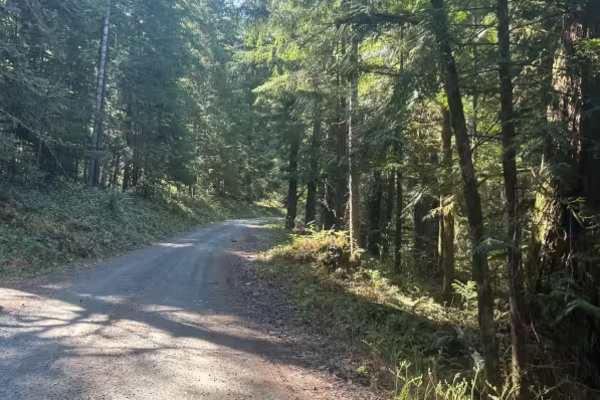 Lava Creek Road