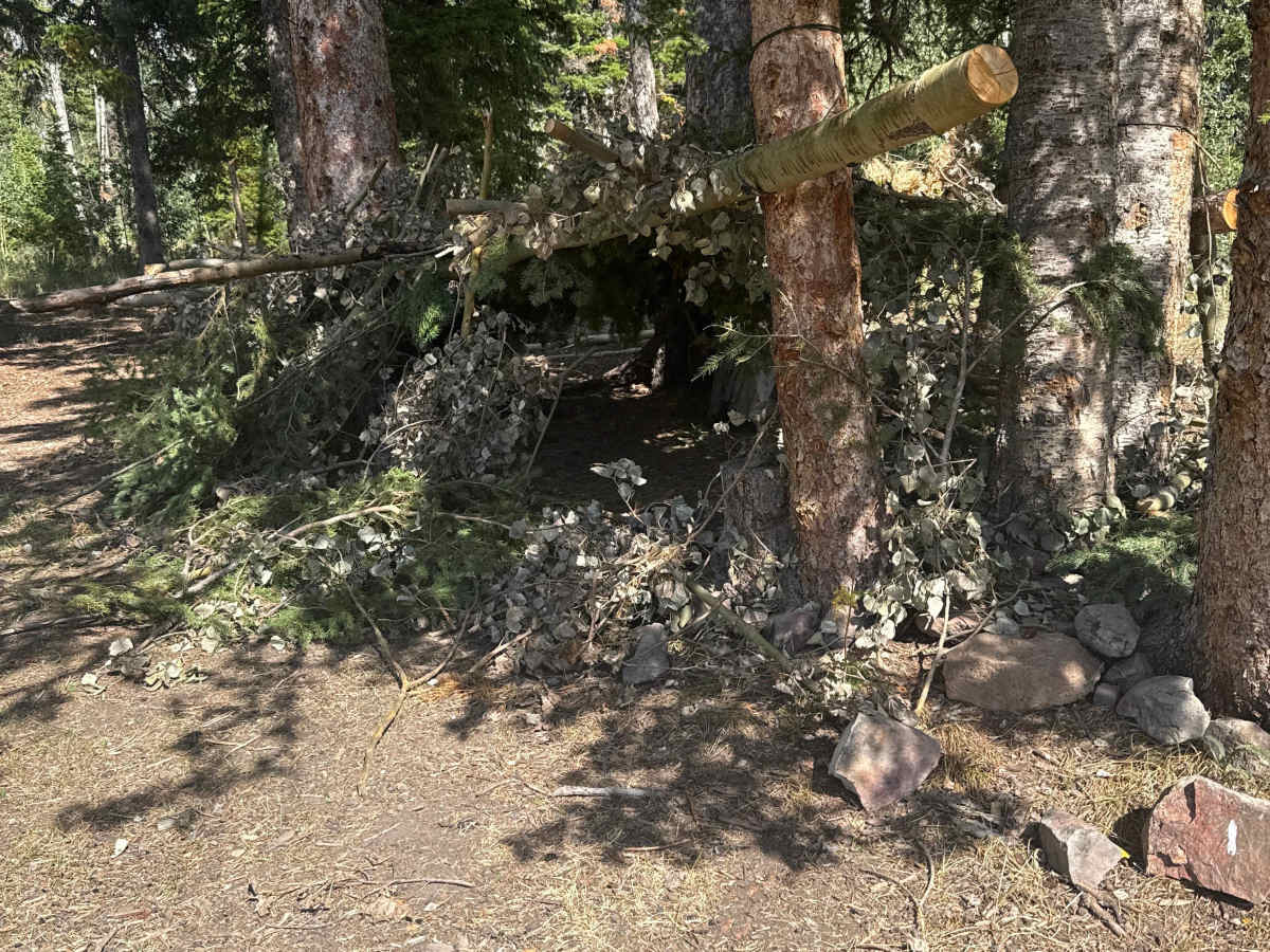 Spruce Creek Road photo 3