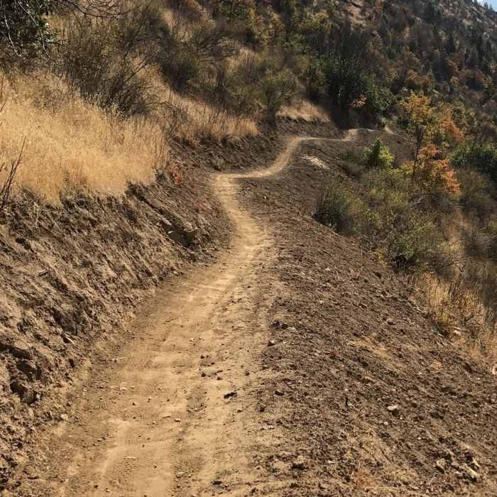 Near Sasquatch Trail