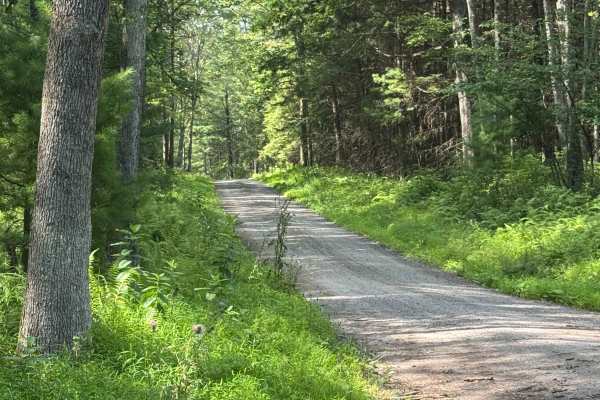 Silver Springs Road