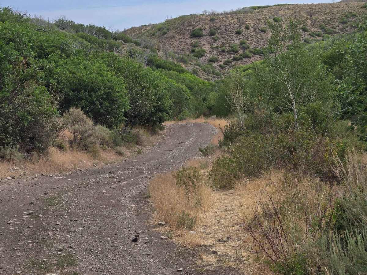 Downhill Wash Road - FS 41040 photo 3