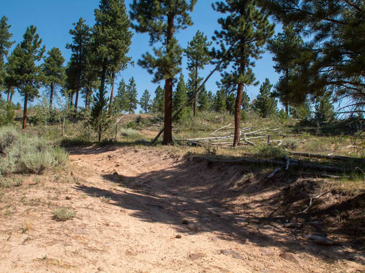 Crow Canyon - FS 10266 photo 6