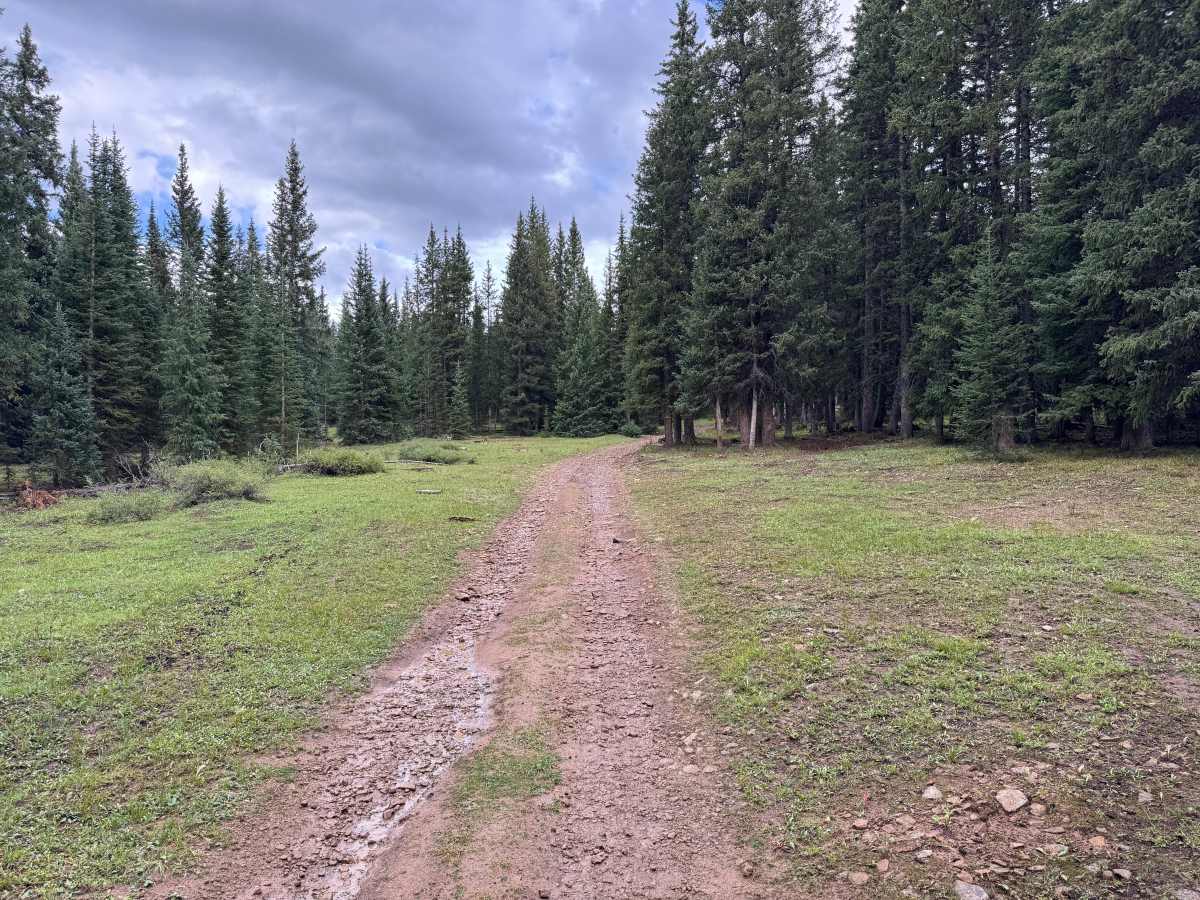 Dillons Cabin B Road photo 4