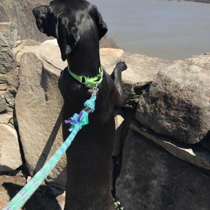 Near Peanut Leap Cascade