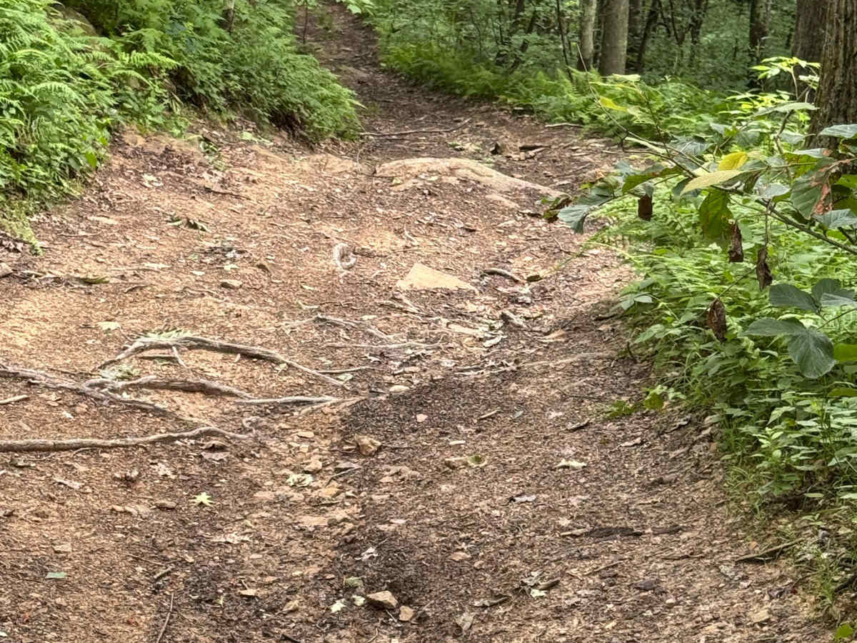 Trail 25 photo 4