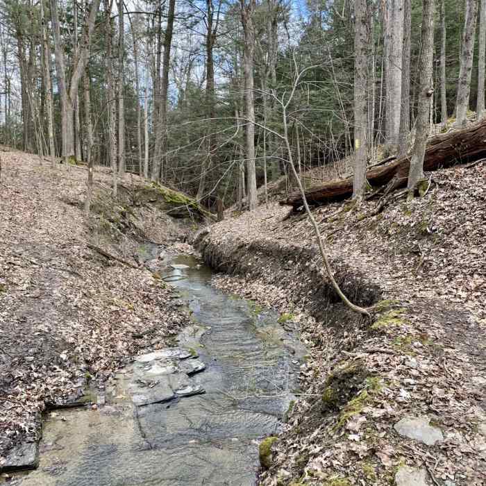 One of the many creek crossings on the Finger Lakes Trail. Near Letchworth State Park FLT Branch