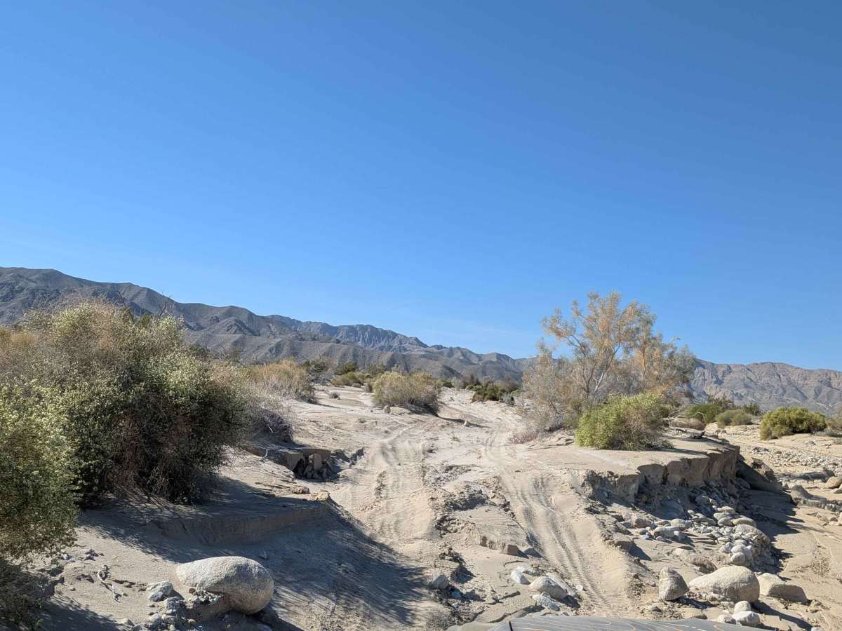 BLM 081 photo 3