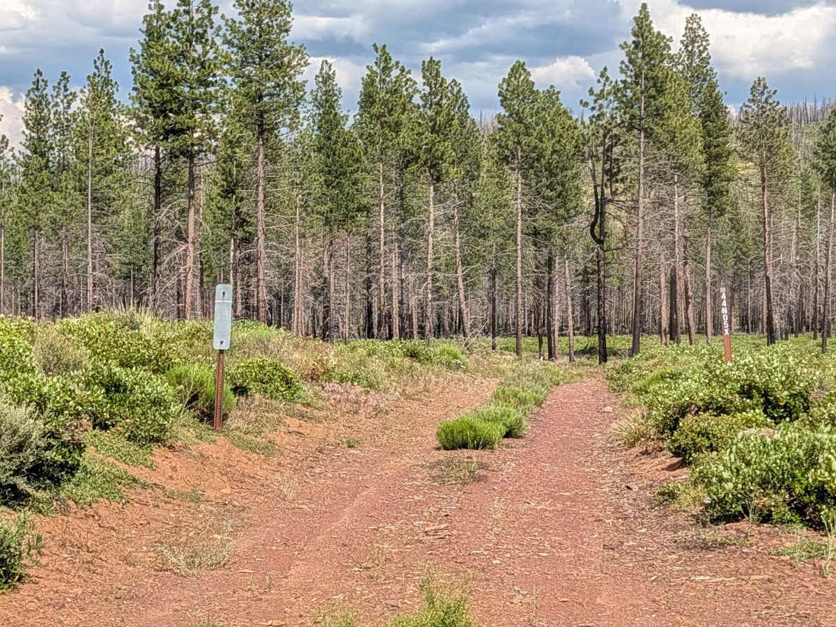 Pipeline - FS 44N05X trail photo