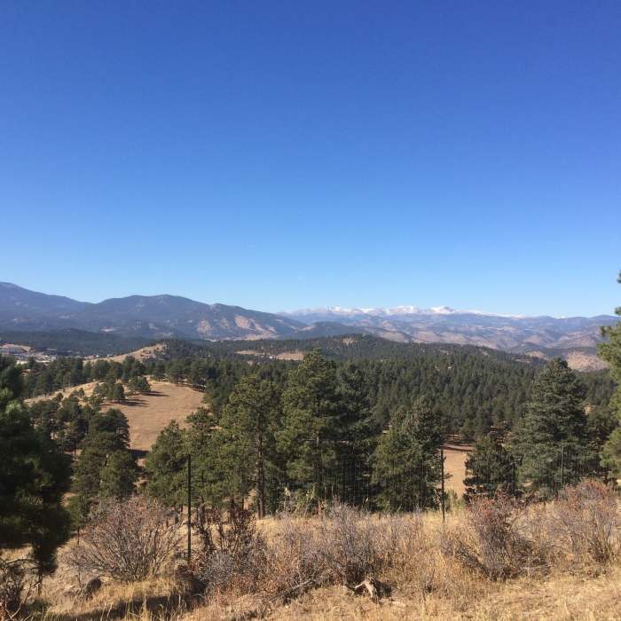 Near American Bison Trail