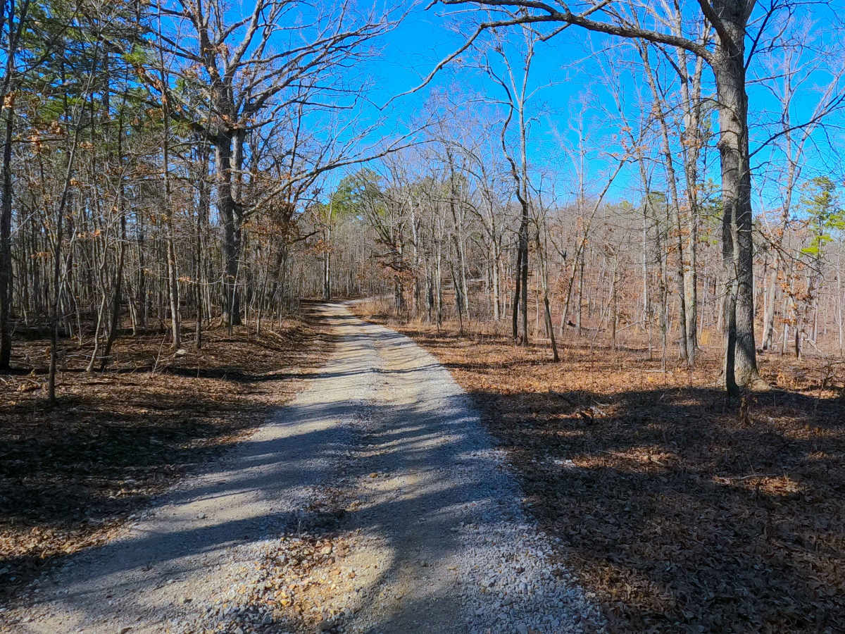 Shirley Ridge - FS 2628 photo 2