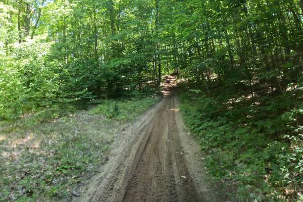 Kalkaska Trial Interconnector