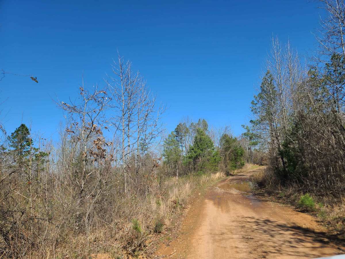 Ritz Road photo 2