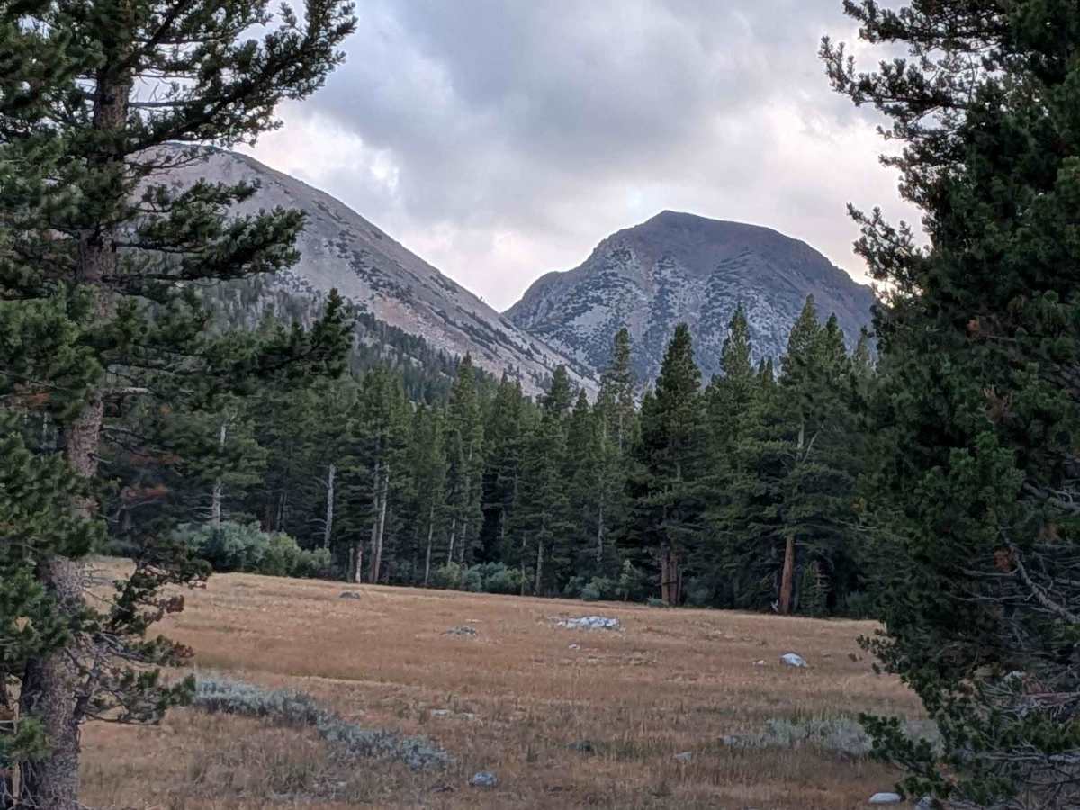Castle Rock Road - FS 32139 photo 2