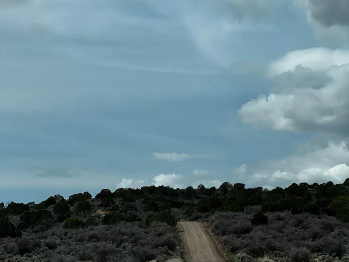 Meadow Valley photo 5