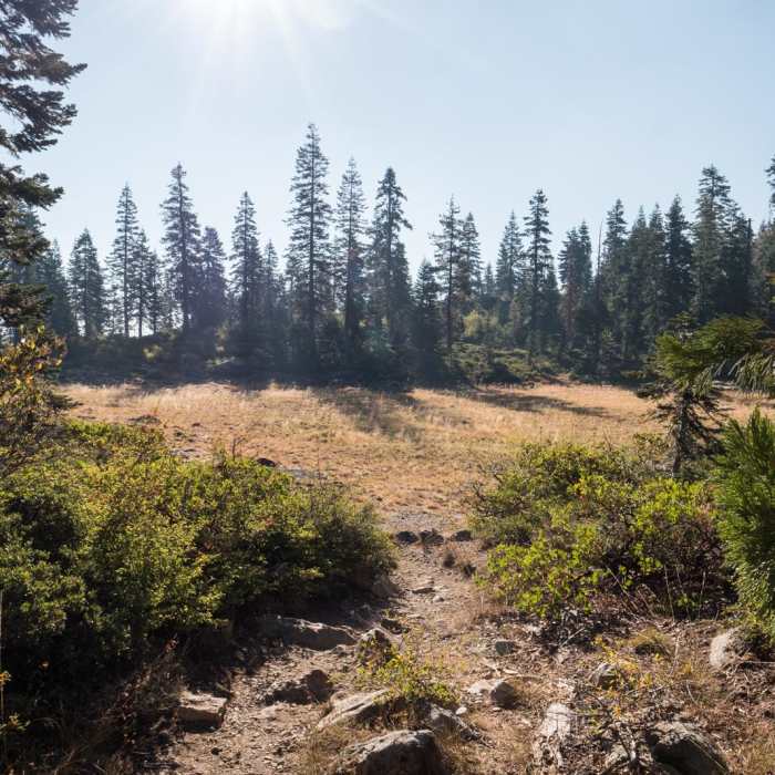 Near Little Castle Lake