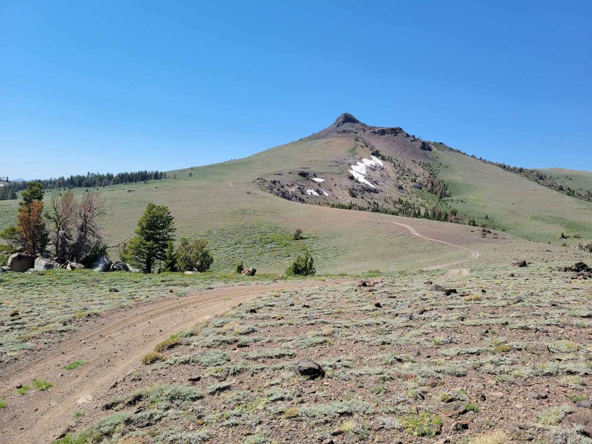 Pistol Point Trail photo 4