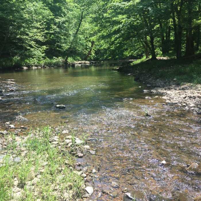 Near Old Stone Fort State Archaeological Park Nature Trail