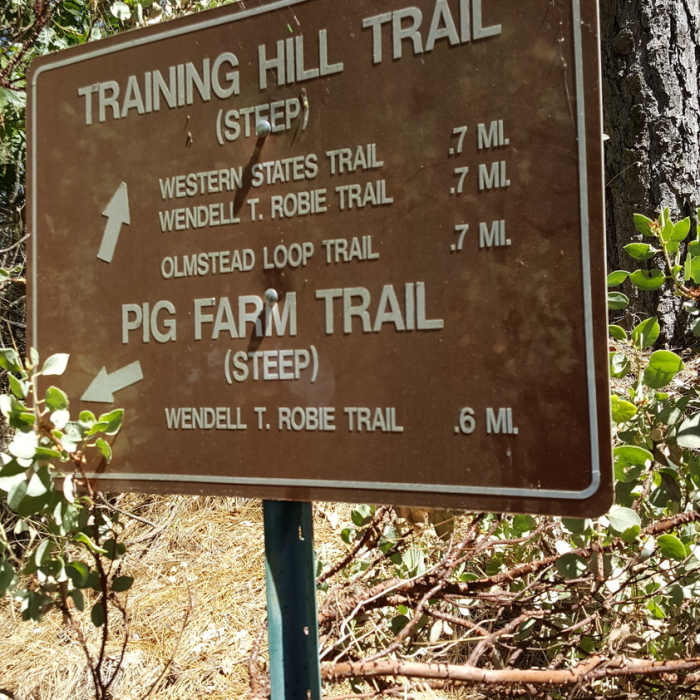 Near Auburn Overlook Park Western States-Quarry Trails Loop