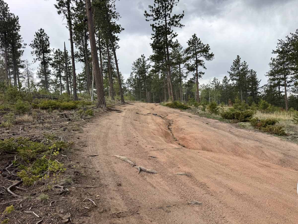 FS 948 trail photo