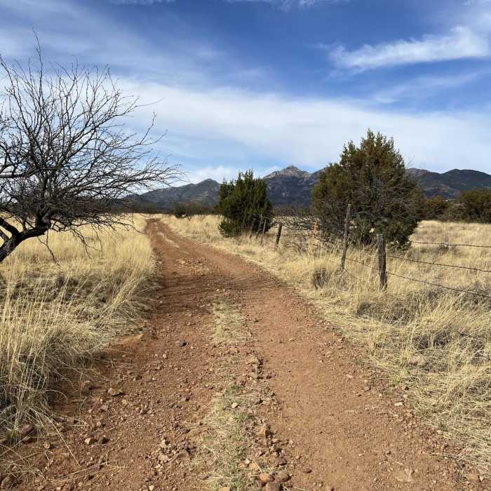Near Sweetwater Spring Loop