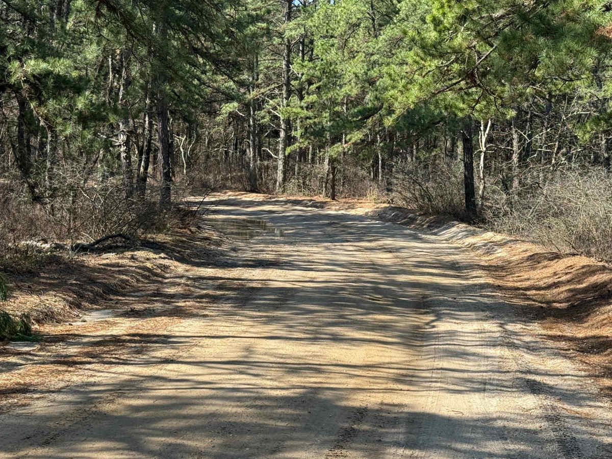 Mount Misery and Pasadena Road photo 2