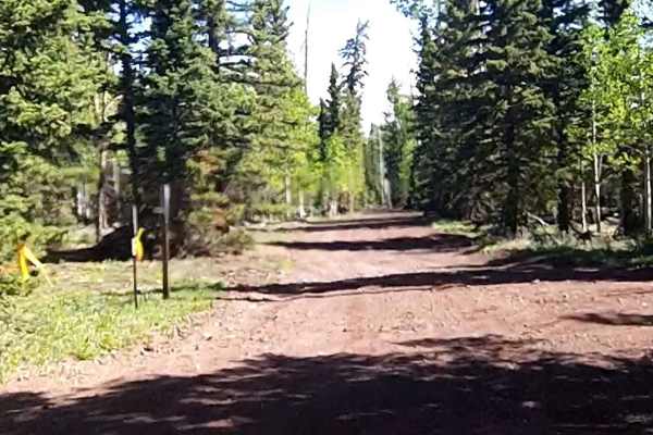 Tommy Creek Loop