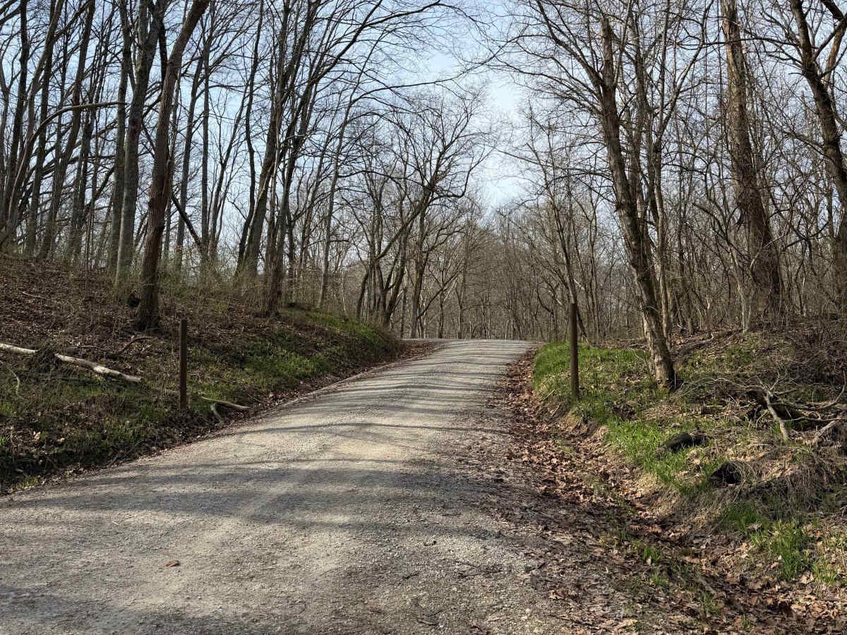 South Ridge Road trail photo
