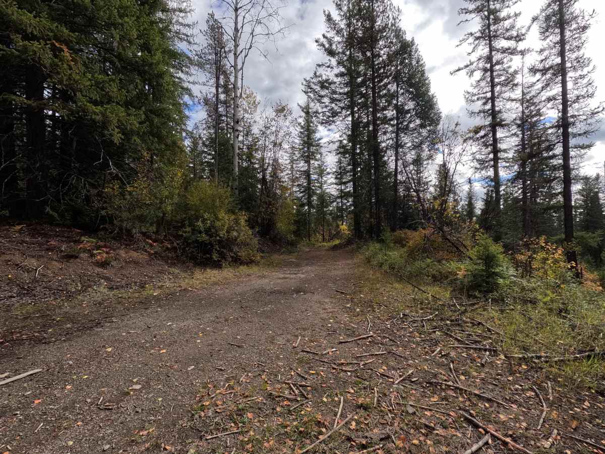 FS 9400511 trail photo