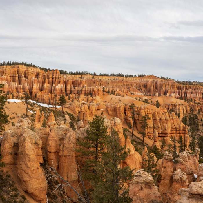 Near Peekaboo Loop (via Sunset Point)