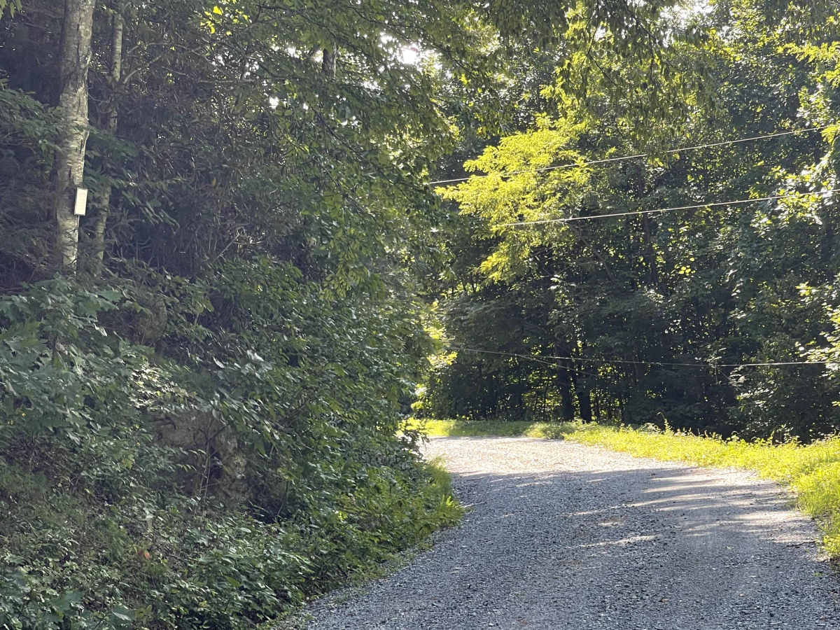 Rackett Branch Road trail photo